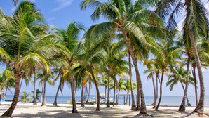 A beach with palm trees and a clear sky. - Two Bedroom Sea View- Villas De Isla Bonita – Dolphin Dreams Penthouse (San Pedro Town)