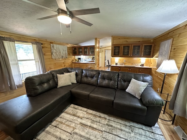 Smart TV, fireplace, DVD player, books