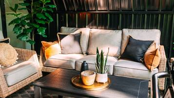 Televisión y chimenea