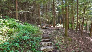 A forested area with a stone staircase leading up a slope. - Whip-poor-will Cabin | Hocking Hills, Firepit (Rockbridge)