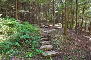 Ein Waldpfad mit Steinstufen, der sich durch dichtes Grün schlängelt.