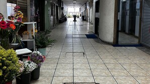 Een gang met betegelde vloer, potplanten en gesloten winkeljaloezieën.