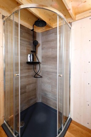 Shower, hair dryer, soap, toilet paper
