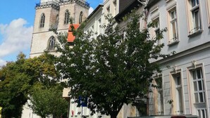 Un bâtiment historique doté d’une tour imposante, avec un arbre en premier plan.