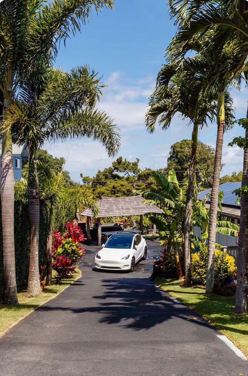 A residential street with a white car parked on the side, surrounded by lush greenery and palm trees.