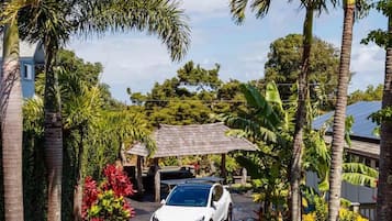 A residential street with a white car parked on the side, surrounded by lush greenery and palm trees.
