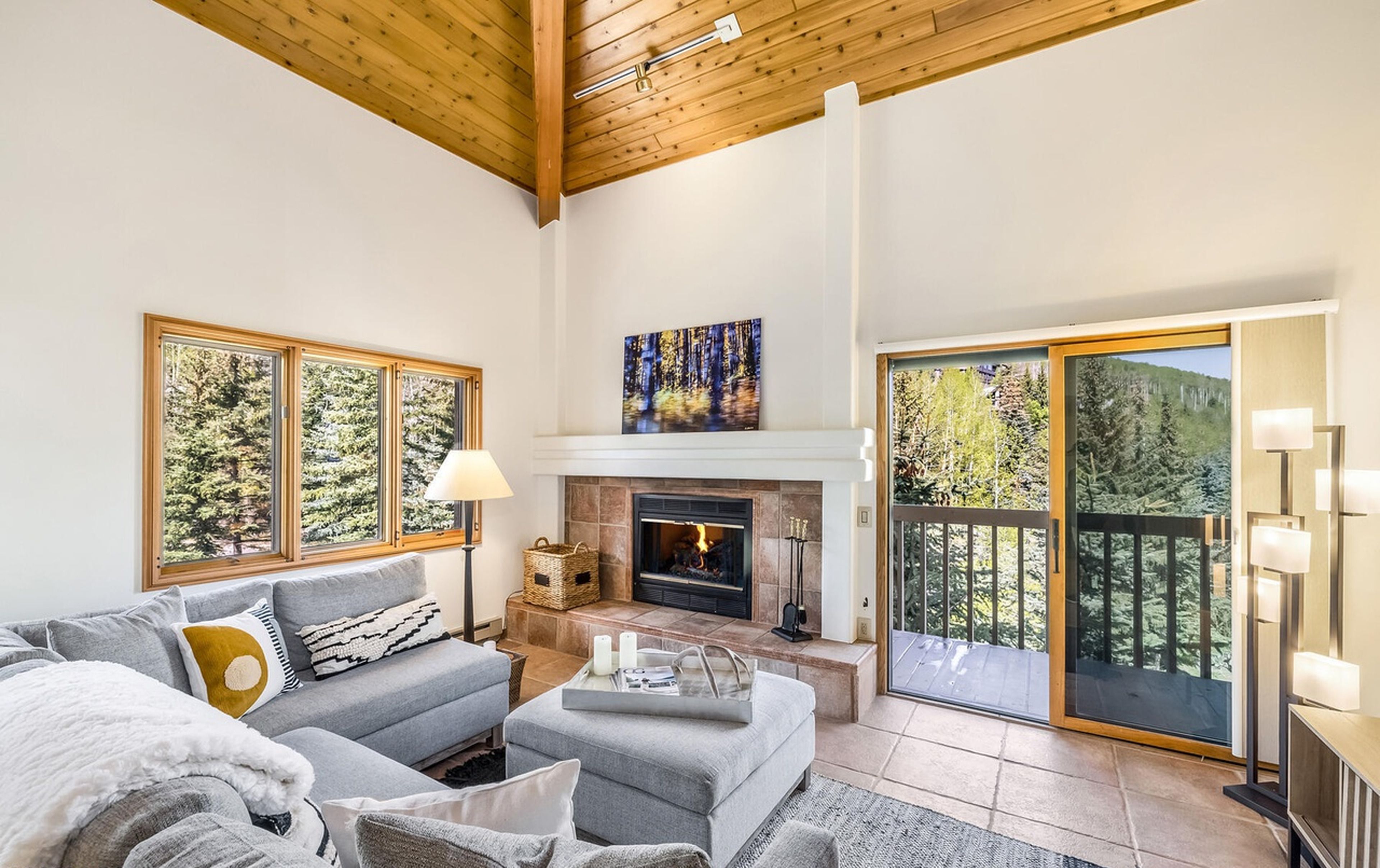 Smart TV, fireplace, books, video library