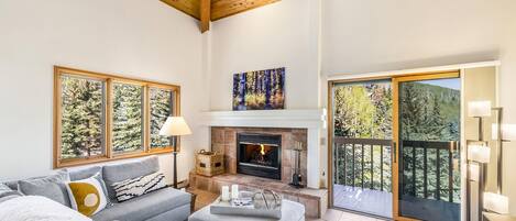 Smart TV, fireplace, books, video library
