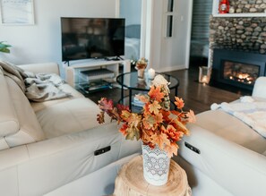 Smart TV, chimenea y libros 