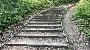 A curved railway track in a forested area.
