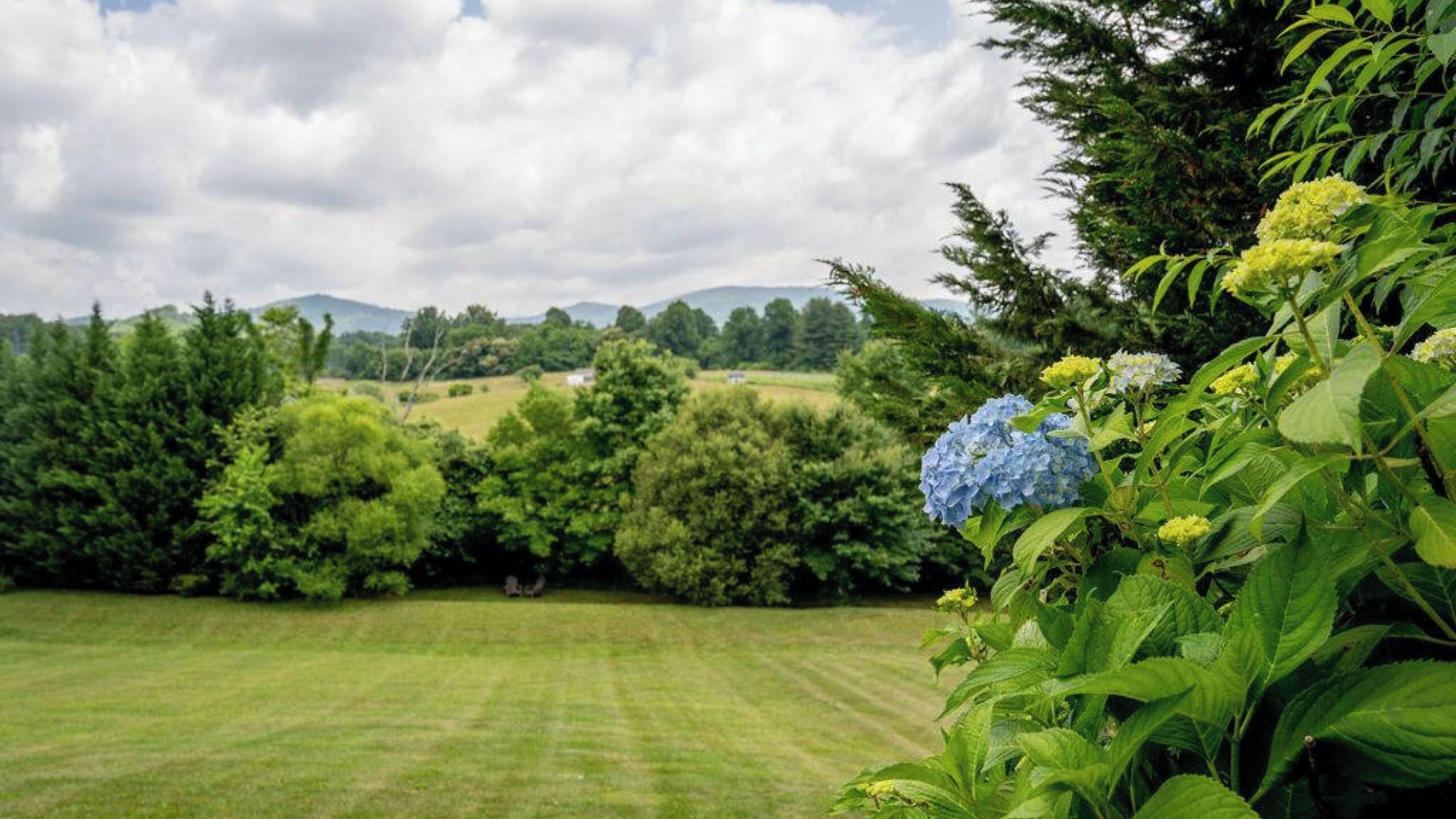 A lush green lawn with a variety of trees and a distant view of hills.