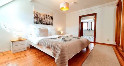 Romantic-Altbau-Apartment mit Dachterrasse und Waldblick, 80m²