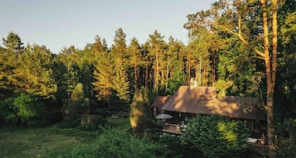 Spacious house with private garden and patio