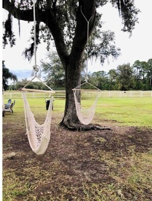 Property grounds - 10𝕘𝕦𝕖𝕤𝕥𝕤6𝕓𝕖𝕕𝕤ᴳ3br/2baᴼᴺ𝐂𝐇𝐒 нorѕe𝐅armᵀᴴᴱ𝐆uest𝐇ouse~
(Hollywood)