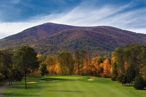 Golf - Woolly Bull-Cozy Newly Redecorated 2-Story Townhouse. <0.3 Mile Walk to slopes! (Wintergreen Resort)