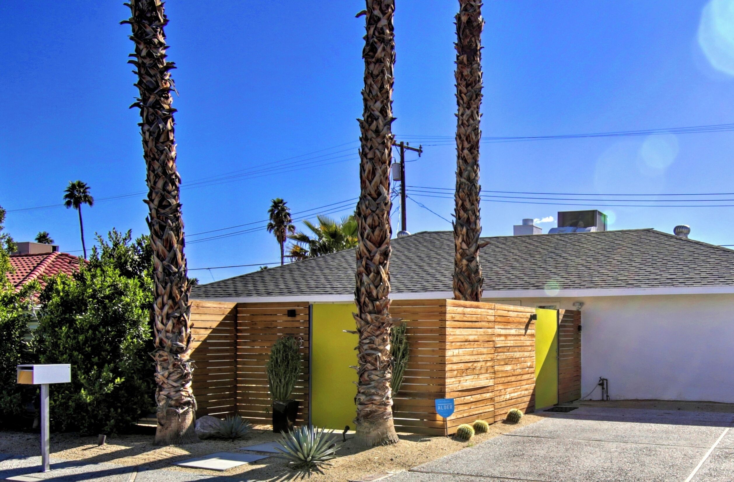 A modern house with a wooden exterior, a yellow door, and a small garden with palm trees and cacti.