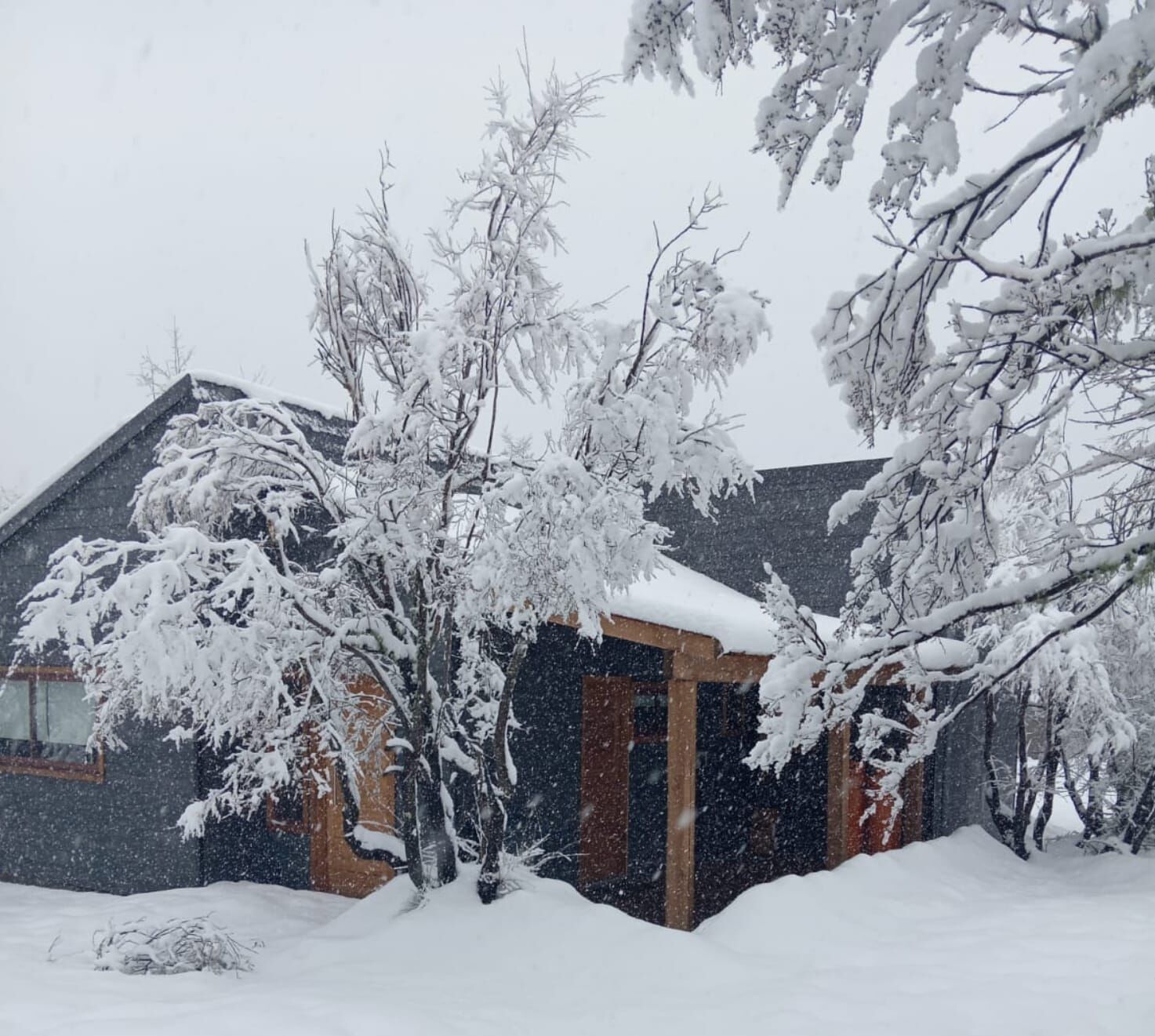 A house with a sloped roof and a wooden door, surrounded by snow-covered trees.