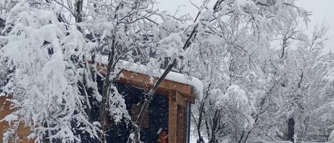 A wooden cabin surrounded by snow-covered trees.