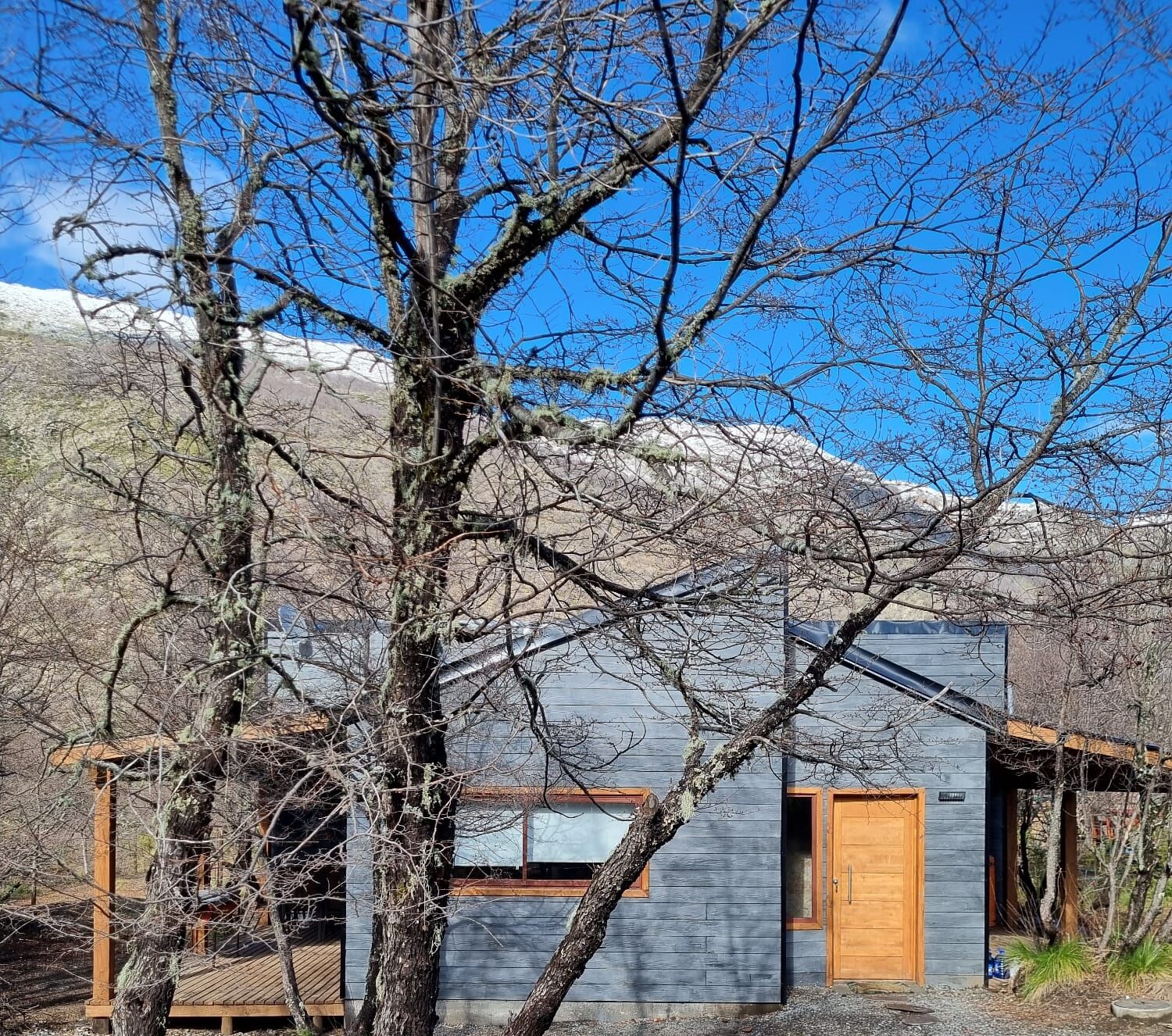 Eine moderne Holzhütte mit Holztür und -fenster, umgeben von Bäumen und einem Berg im Hintergrund.