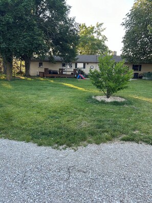 Àrea exterior de l'allotjament