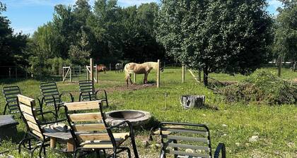Spacious 27’ RV on horse farm