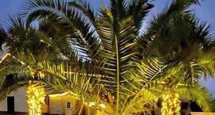 5𝕘𝕦𝕖𝕤𝕥𝕤4𝕓𝕖𝕕𝕤1br/1baᴼᴺ CHS ҺorseԲarm~<br>
