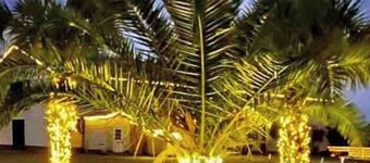 5𝕘𝕦𝕖𝕤𝕥𝕤4𝕓𝕖𝕕𝕤1br/1baᴼᴺ CHS ҺorseԲarm~<br>