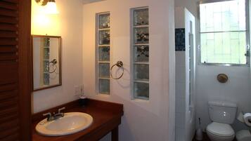 Chuveiro, secador de cabelo, toalhas de banho, sabonete