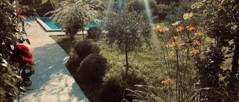 Áreas de la propiedad