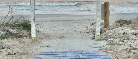 在海滩