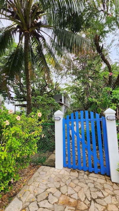 Our Sea Garden Suite faces the Caribbean and awaits you