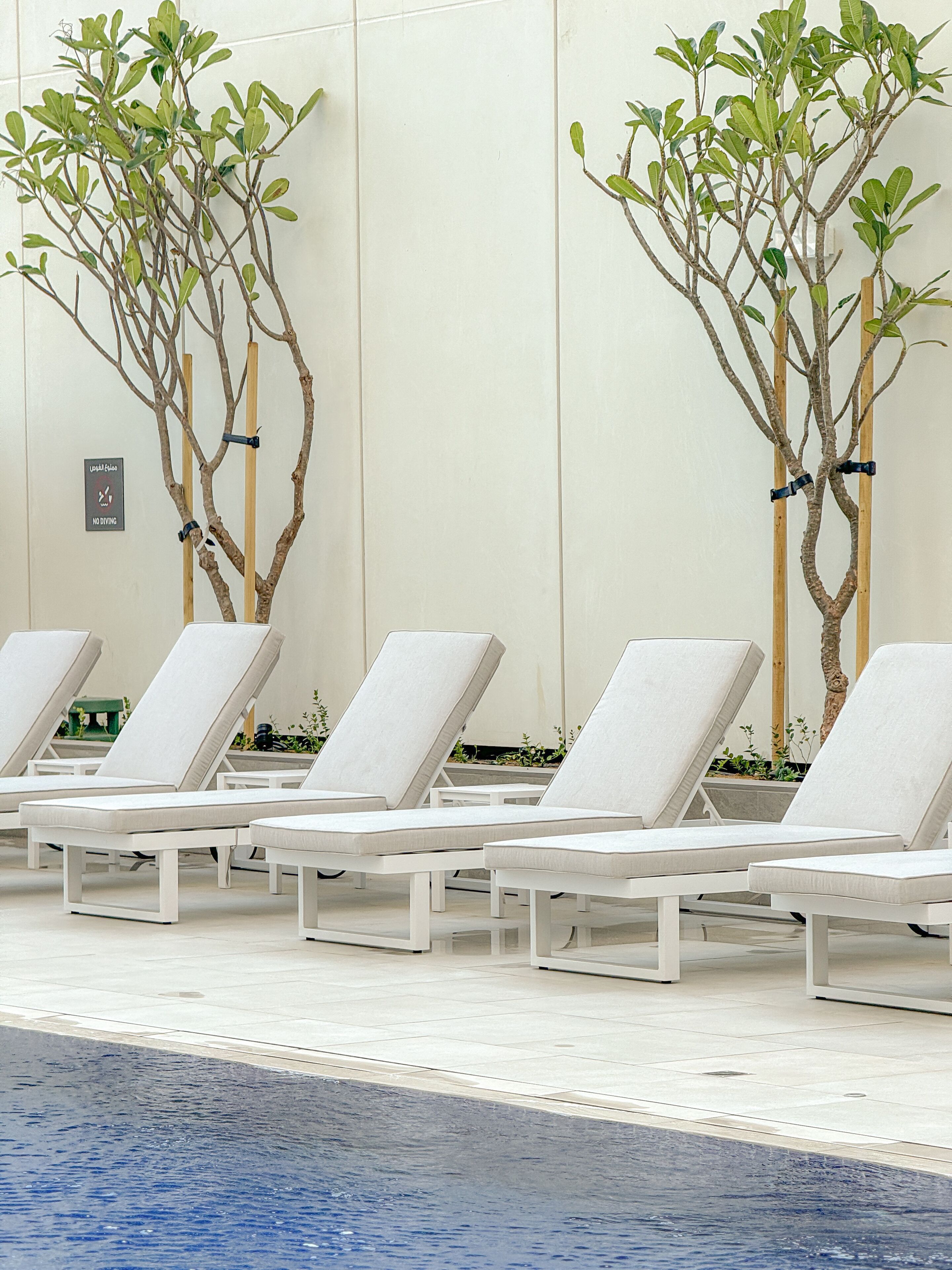 A poolside area with lounge chairs and two artificial trees.