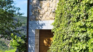 Un edificio de piedra con puerta y ventana de madera, rodeado de abundante vegetación.