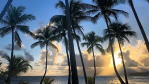 Tall palm trees against a sunset sky. - JUST A LITTLE BIT  (Saint-François)