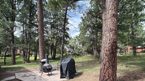 Eine bewaldete Außenanlage mit Grill und überdachter Grillstelle.