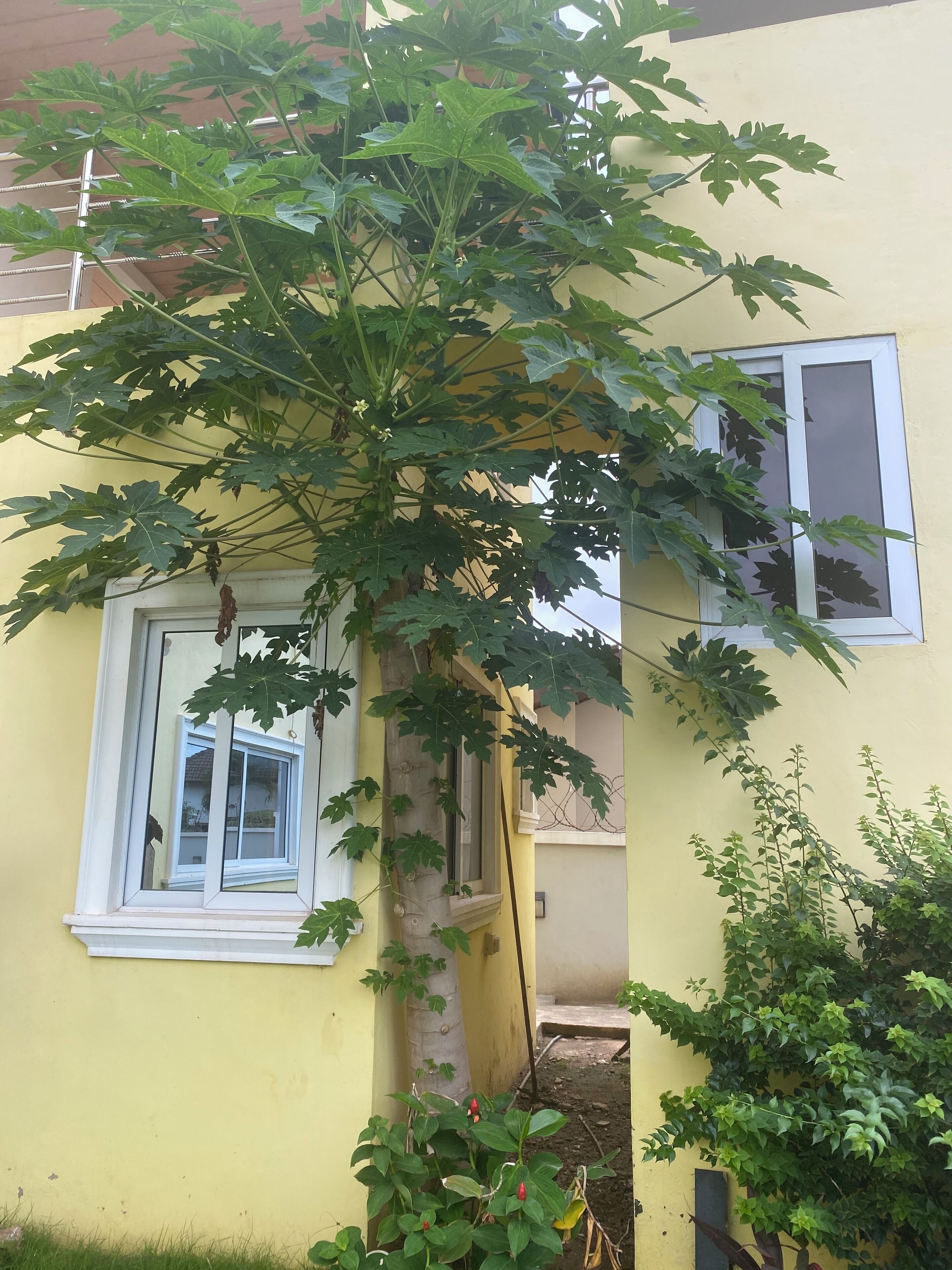 تفاصيل الفندق من الخارج