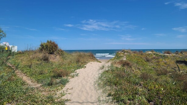 Strand