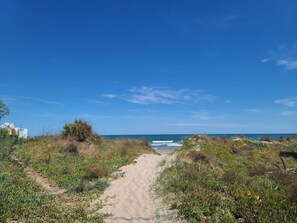 Strand