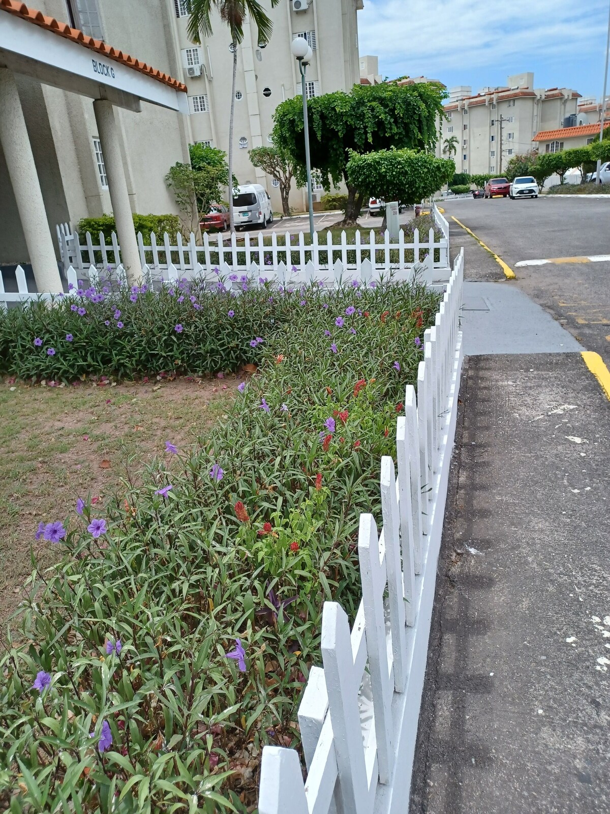 Imagem do perfil do anfitrião