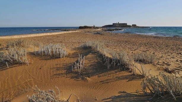 A sandy beach with sparse vegetation and a distant structure, possibly a fort or lookout. - Cottage - Sleeps 4 - Parking - Garden (Noto)