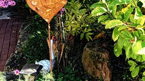 Un jardin agrémenté d’une sculpture métallique en forme de cœur, de différentes plantes et d’un chemin bordé de briques.
