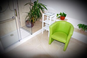 Shower, hair dryer, towels