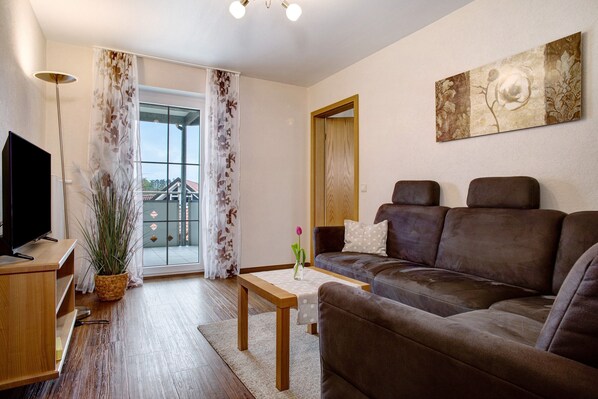 Televisión, reproductor de DVD, mesa de ping pong