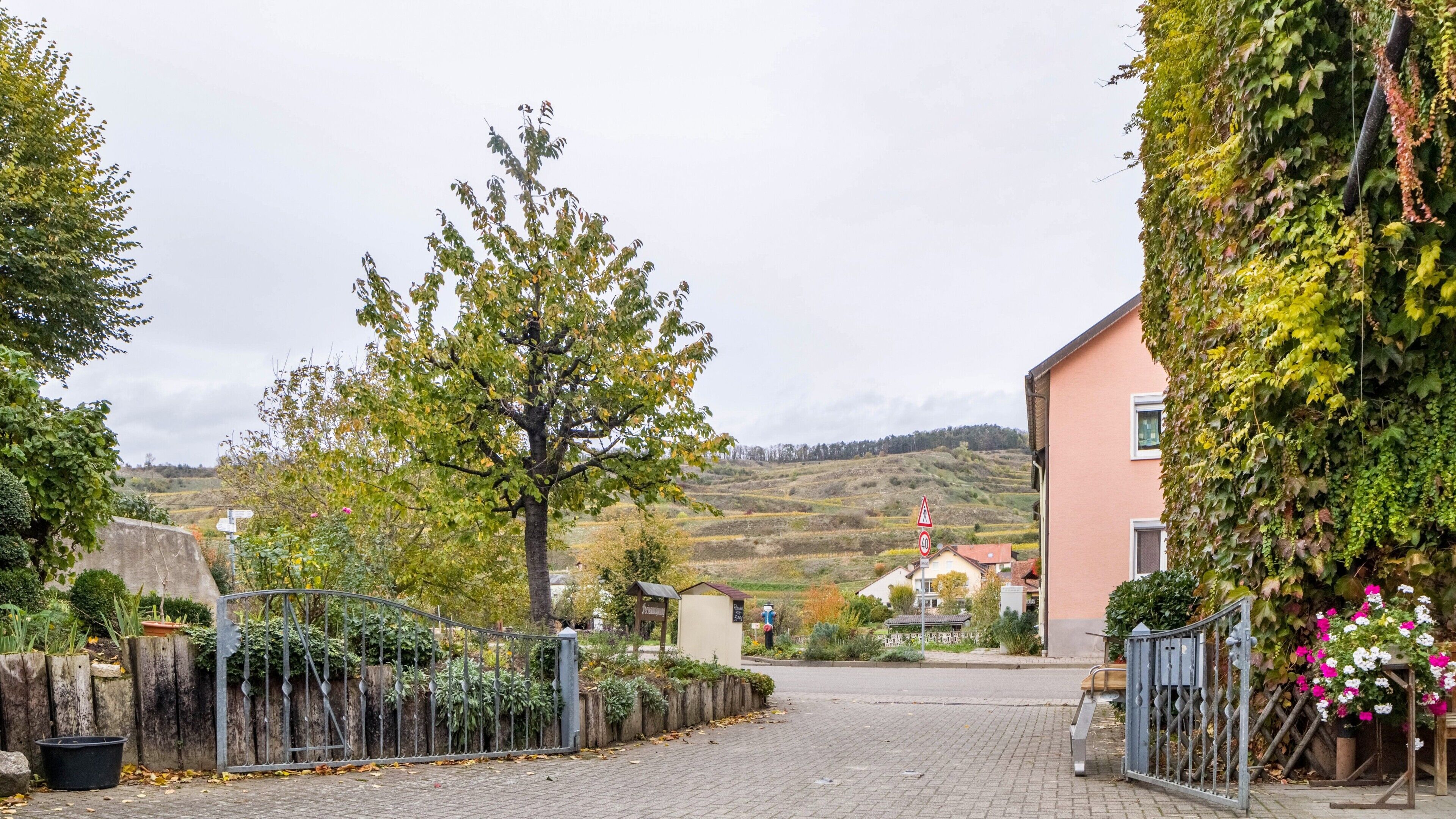 Jardines del alojamiento