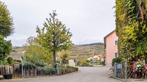 Una calle pavimentada que conduce a un edificio con un cartel, un árbol y una colina al fondo.