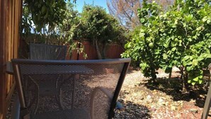 Un espacio ajardinado con una silla de metal, un árbol pequeño y una valla de madera.