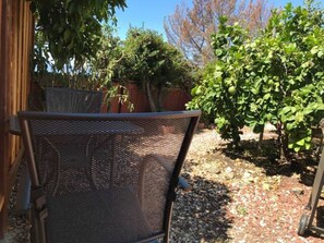 Terrasse/gårdhave