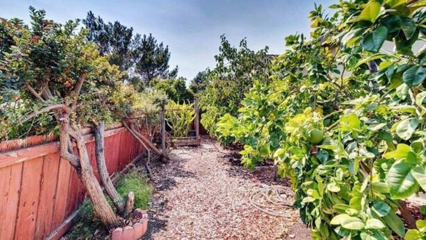 Un sendero en un jardín, con una cerca de madera a un lado y follaje denso al otro.