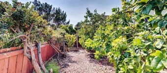 Guest Unit 1 bedroom, 2-rooms, with private entrance and backyard