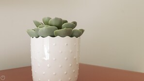 Apartment | 1 bedroom - Italianway Collection - Stradivari 4 (Milan)